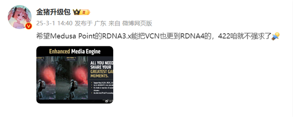 AMD下代Zen6 APU用不上RDNA 4了！还是RDNA 3.X