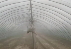 农户借鉴上海中心大厦的阻尼器设计，自制