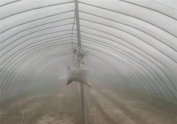 农户自制沙袋阻尼器抵御暴风 借鉴上海中心大厦