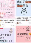 兔兔文在社交媒体上爆火了，可惜它没法翻