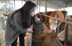 渌口姑娘曾齐怡馨：青春绽放在乡土间