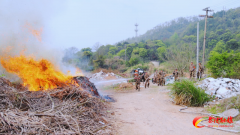 茶陵举行森林火灾应急演练，筑牢防火安全