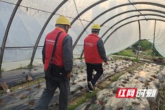 国网株洲天元供电：党员服务队护航春耕