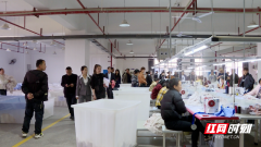 茶陵县：精准对接促就业 凝心聚力惠民生